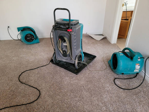 Best Flood damage cleanup  in Keno, OR