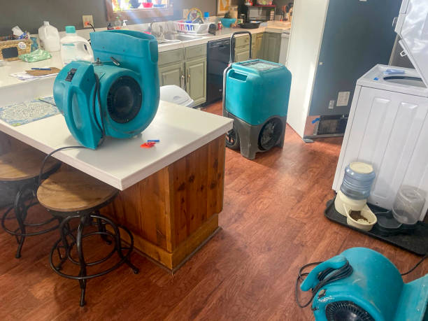 Professional Water damage restoration in OR