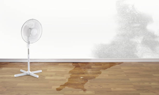 Best Basement water damage restoration  in Keno, OR