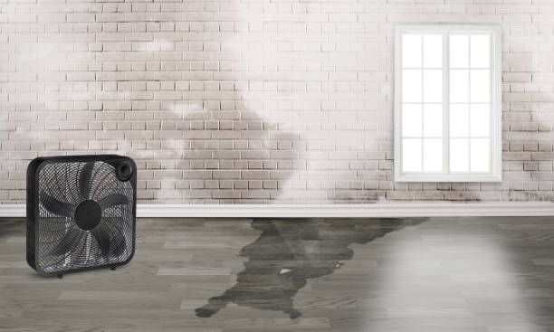 Best Residential water damage restoration  in Keno, OR