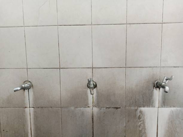 Best Flooded house restoration  in Keno, OR