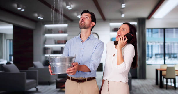 Best Local water damage restoration  in Keno, OR